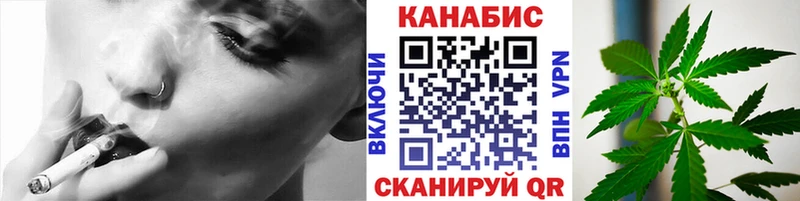сколько стоит  Суздаль  Бошки марихуана THC 21% 